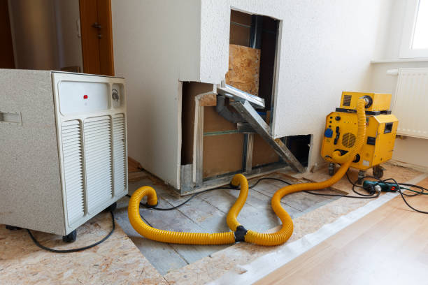 Best Attic Mold Removal  in Nazareth College, NY